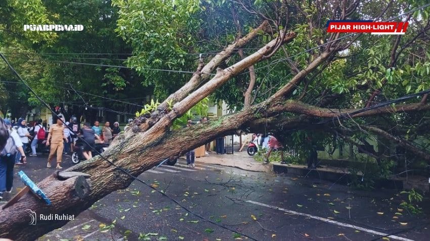 Diterjang Angin, Pohon Tumbang Timpa 12 Motor di SMA Negeri 10 Ternate
