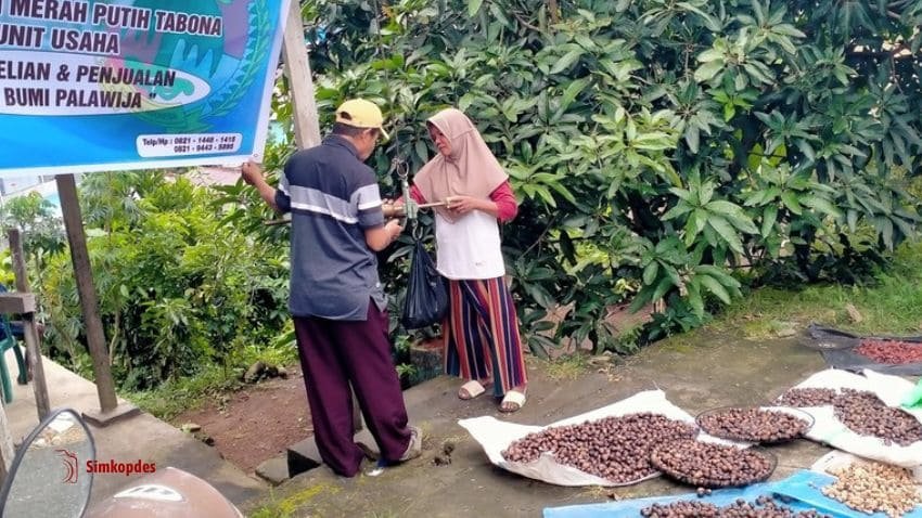 Aktivitas perdagangan hasil bumi KKMP.