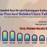 infografis bayi kurang gizi